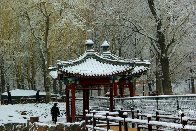 粉妆玉砌的雪景